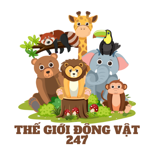 Thế Giới Động Vật 247